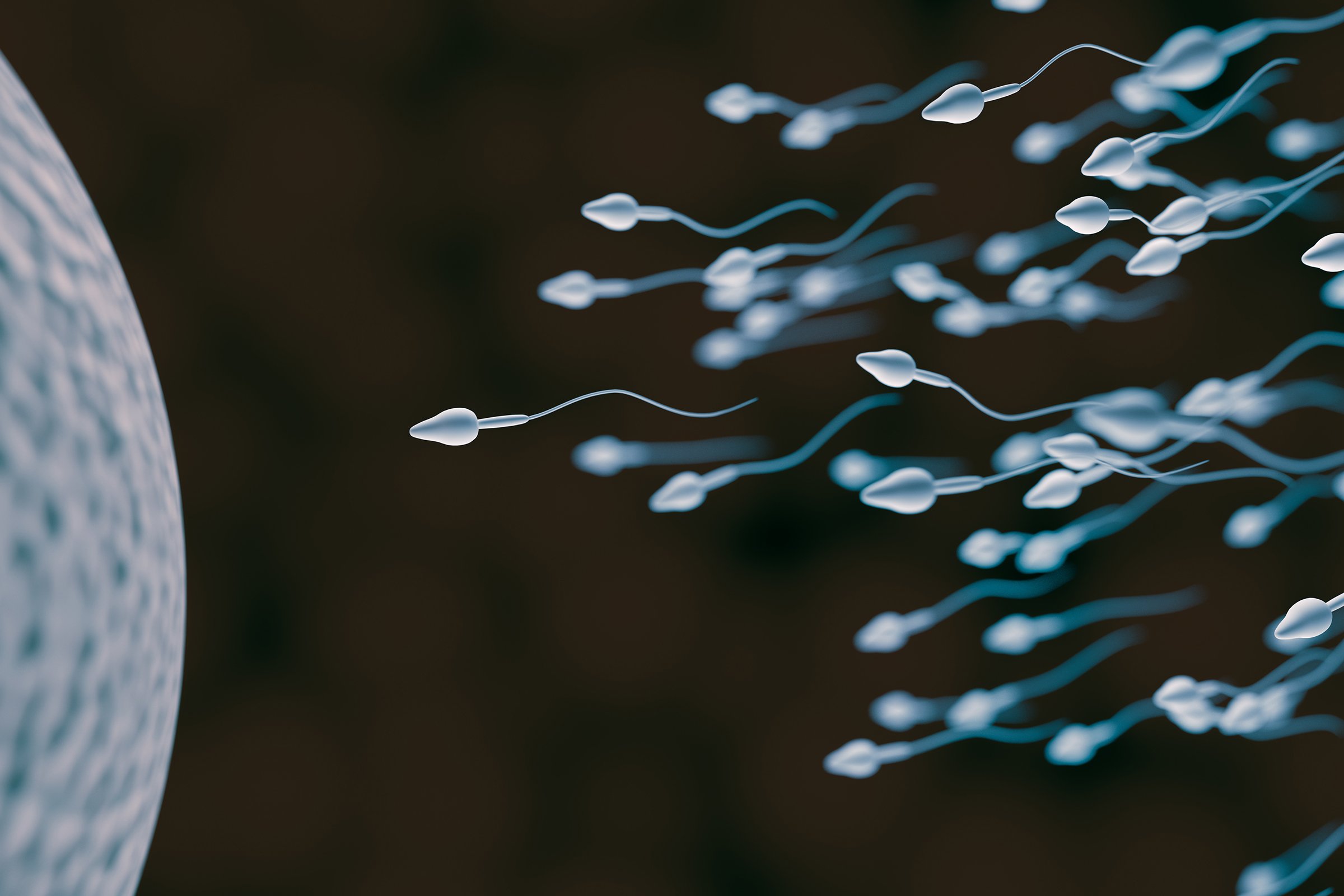 Girl Sperm Vaginally