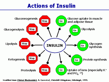 22 Low Insulin Causes in Regular Carb Consumers - SelfHack