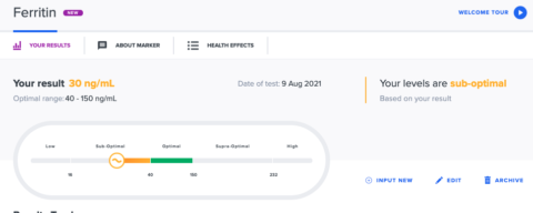 SelfDecode Review labs