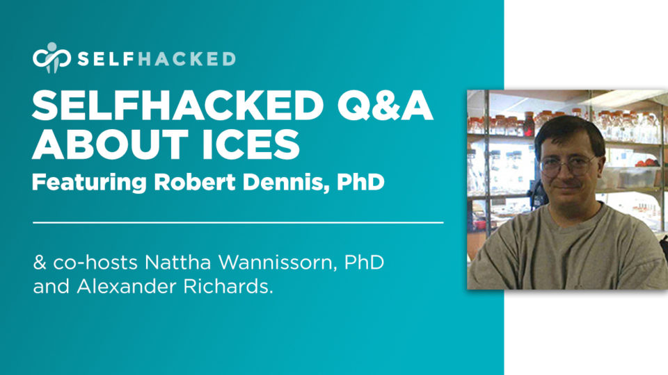 Ices Reader Q A With Bob Dennis Selfhack