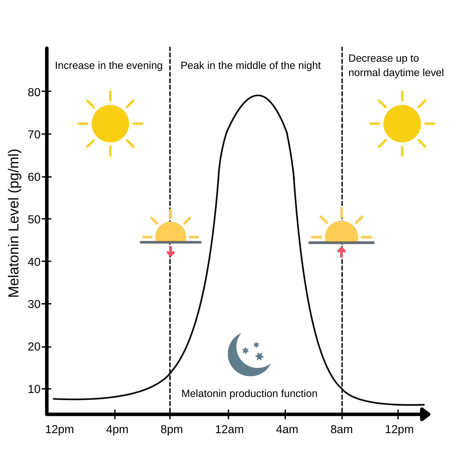 melatonin-cortisol-and-how-to-optimize-sleep-and-stress-selfhack